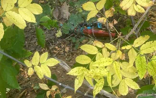 В Харківській області прикордонники "приземлили" начинений вибухівкою БпЛА