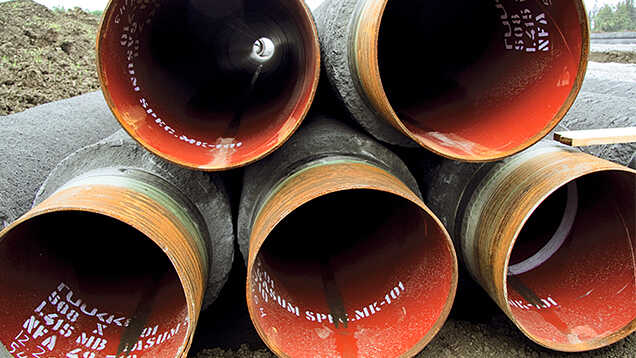 США пропонують Фінляндії допомогу в розслідуванні пошкодження газогону Balticconnector