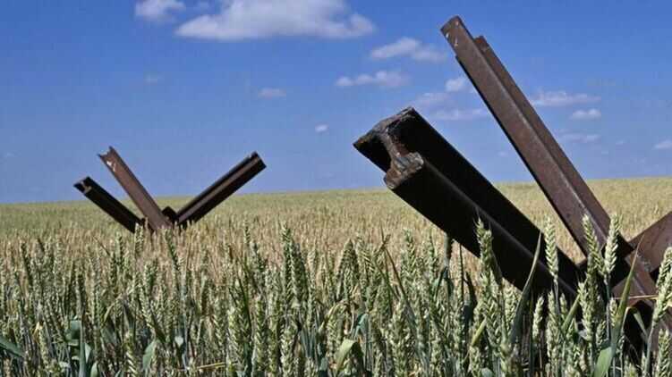 Подорожавшая логистика делает украинское сельское хозяйство убыточным - замминистра аграрной политики