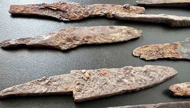 Митники не дали вивезти з України 101 археологічну знахідку