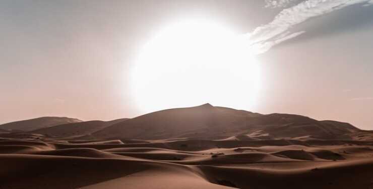 Людство стане свідком смерті всієї природи Землі