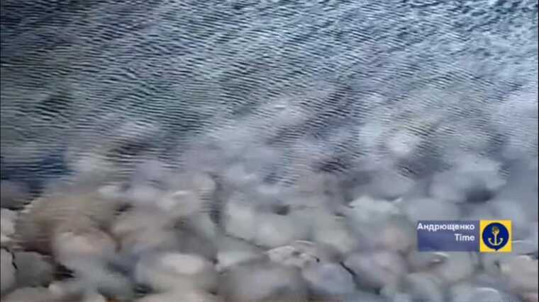 Мешканці Маріуполя спостерігають на пляжах окупованого міста наслідки екоциду