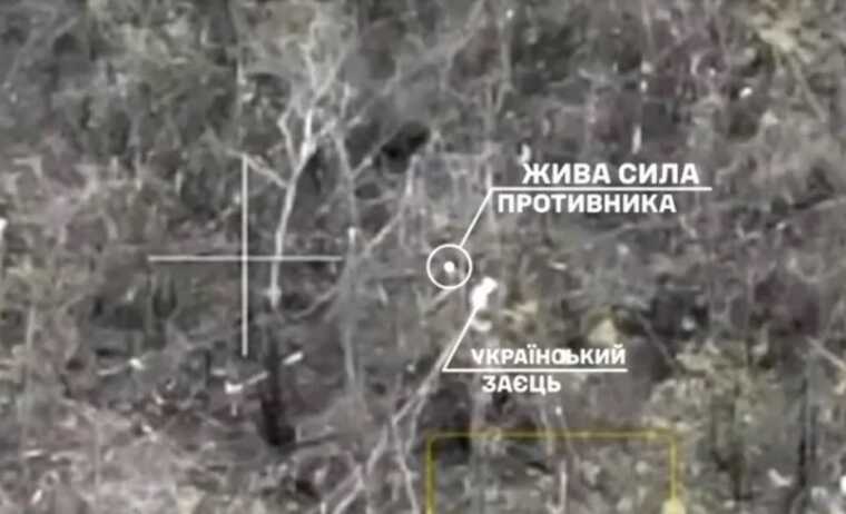 Боєць ЗСУ підстрелив із гранатомета окупанта, який намагався спіймати українського зайця: "Мисливець виявився здобиччю"