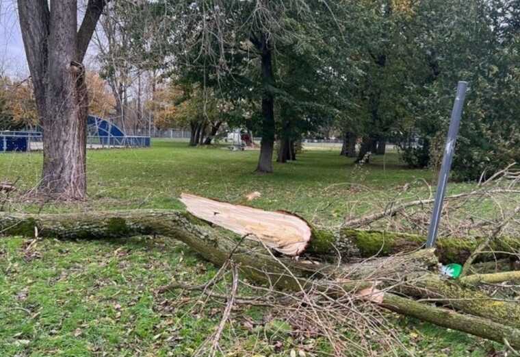 У Бельгії під час шторму "Сіаран" загинув 5-річний українець