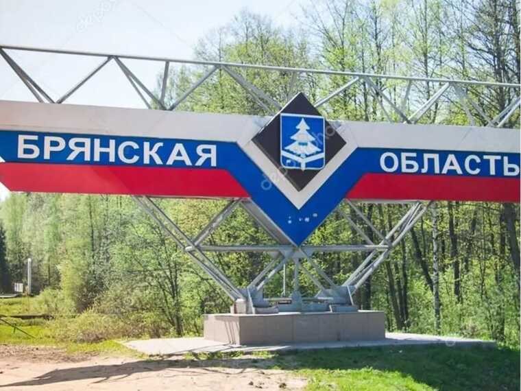 Дрон атакував хімзавод у Брянській області, який займається виробництвом зброї та боєприпасів