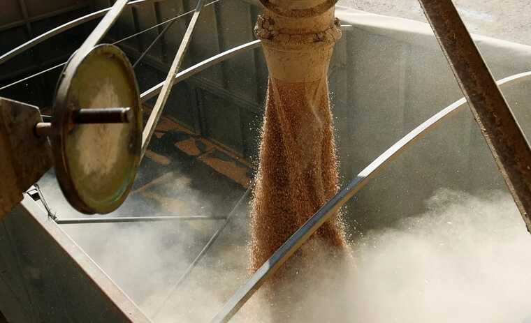 На Закарпатті побудують "сухий порт" для експорту зерна до країн ЄС