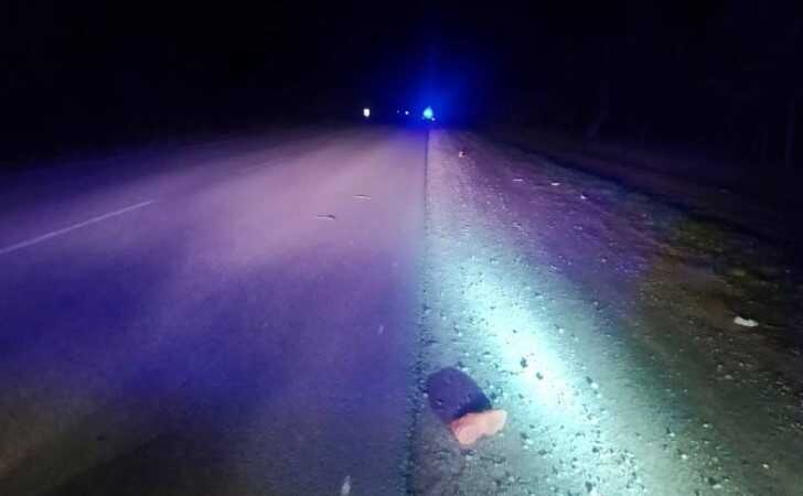 На Житомирщині розшукали водія, який збив на смерть людину і втік з місця ДТП