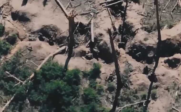 Воїни "Азова" за допомогою артилерії знищили в лісі піхоту окупантів