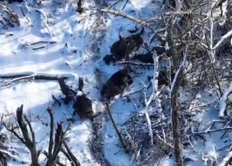 Військові 30 ОМБр нищать окупантів, які прикидаються мертвими