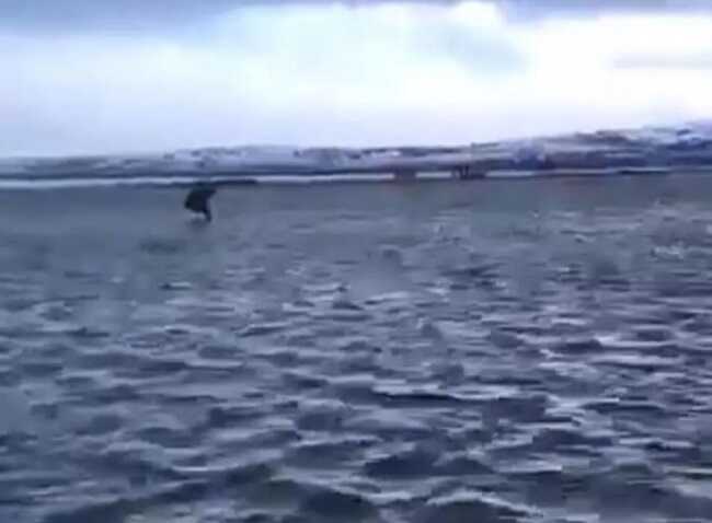 На півночі Камчатки Берингове море вийшло з берегів і затопило аеропорт