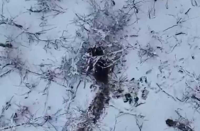 ЗСУ ліквідували понад 100 окупантів та десятки одиниць ворожої техніки