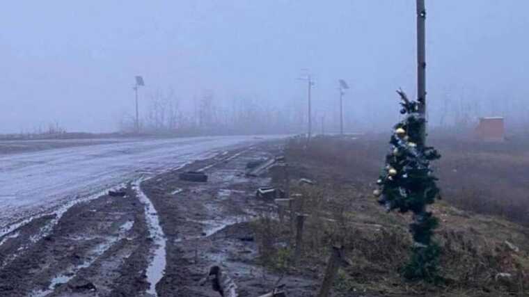 У мережі опублікували фотографію "головної ялинки країни"