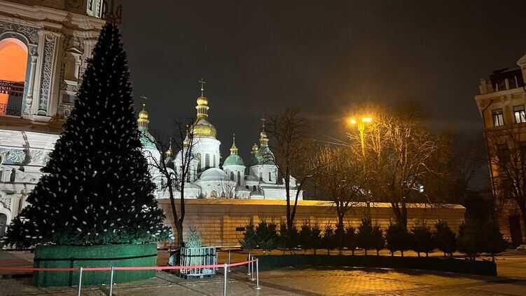 У Києві встановили головну ялинку країни