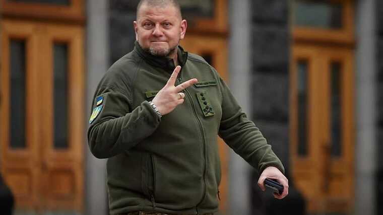 Залужний привітав українців з Днем волонтера: "Підставили плече військовим"