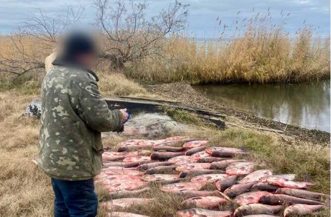 В Одесской области полицейские разоблачили браконьера на озере Ялпуг