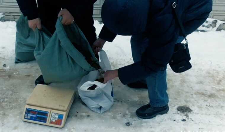 На Рівненщині викрили бурштинових ділків: один із фігурантів – депутат