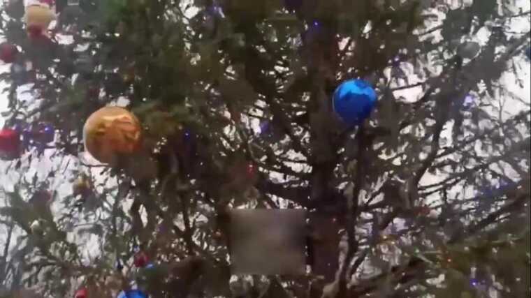 У Мережі опублікували відео "лисої" ялинки у Маріуполі, подарованої окупантами