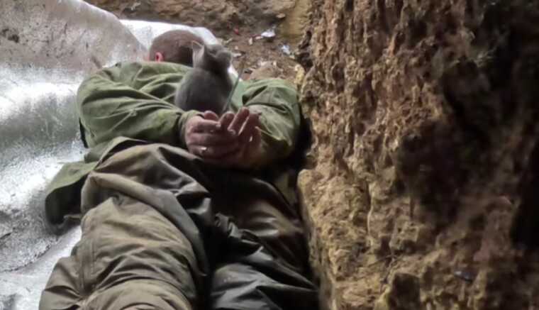 Военные из бригады "Лють" показали захват оккупанта в плен в реальном режиме