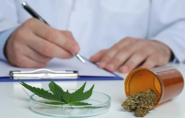 У Верховній Раді заблокували підписання законопроєкту про легалізацію медичного канабісу