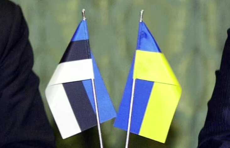 В Естонії допустили допомогу з мобілізацією українців