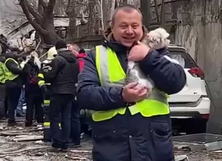 Київські рятувальники після ракетного удару врятували двох пернатих і собаку