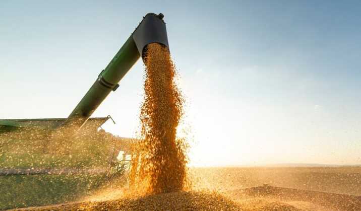 У Польщі новий уряд збереже заборону на ввезення українського зерна