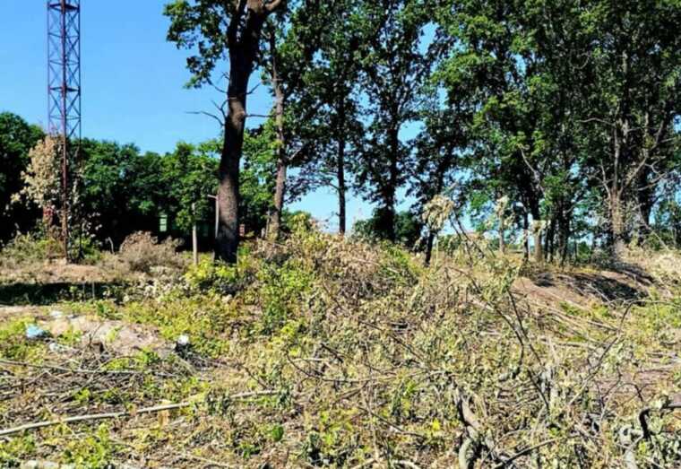 На Буковині очільнику залізничної станції висунули підозру у зловживаннях