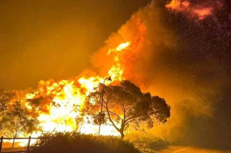 В Австралії лісова пожежа вийшла з-під контролю: із найближчих міст евакуюють людей