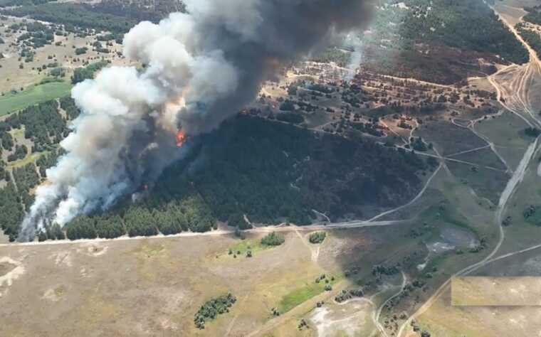 Как живет Черноморский биосферный резерват под российской оккупацией