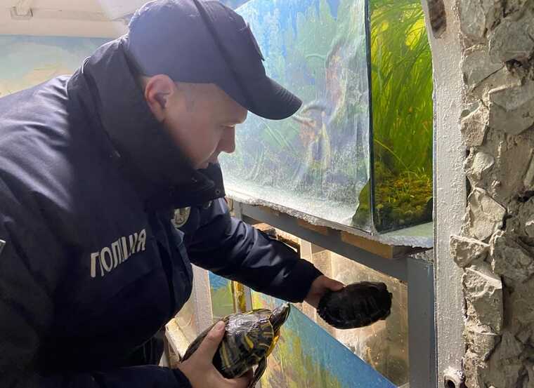 У Кам’янці-Подільському поліція вилучила з виставки тварин десятки рептилій