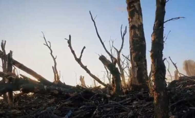 Вибуховий трюк: автомат окупанта прилетів до бійців ЗСУ після вибуху в окопі