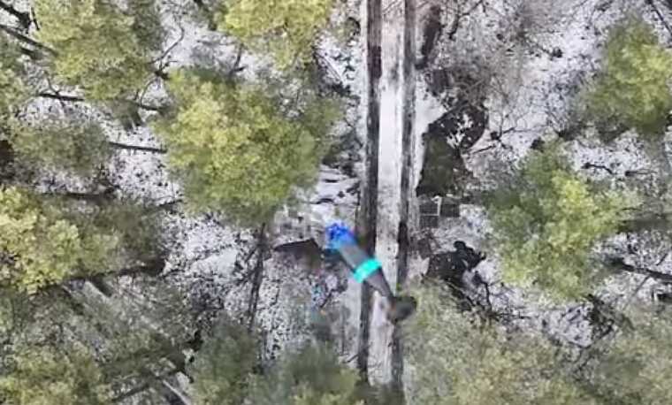 Українські прикордонники показали, як “підчистили” окупантів у лісах Харківщини