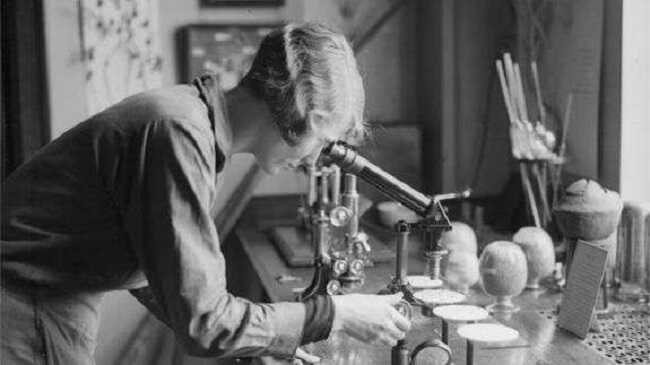 10 знаменитих жінок-науковиць, які змінили світ: від математики до хімії та астрономії