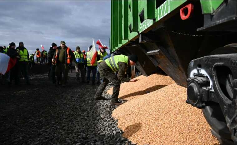 У Польщі поліція взялася за справу про розсипане українське зерно