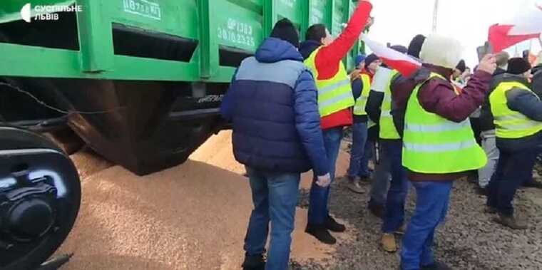 Через Польщу може проходити більше російського зерна, ніж українського - Кульпа