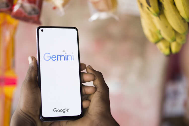  Google     Gemini