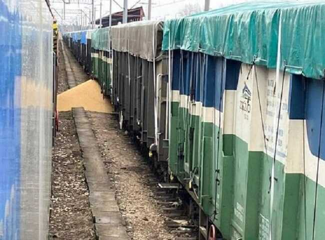 У Польщі втретє висипали українське зерно