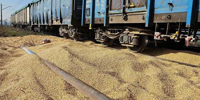 У МВС Польщі пообіцяли покарати тих, хто розсипав українське зерно