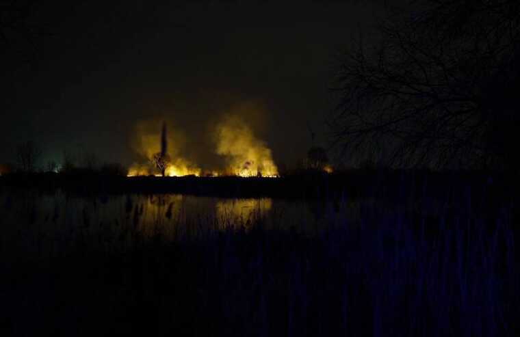 У КМВА розглядають версію підпалу екопарку на Осокорках