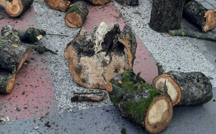 ДТП на Львівщині: перекинувся причіп легковика з дровами, є постраждалі та загиблий