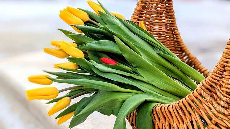 В Україні святкували 8 березня: в Мережі публікують відео з вечірок