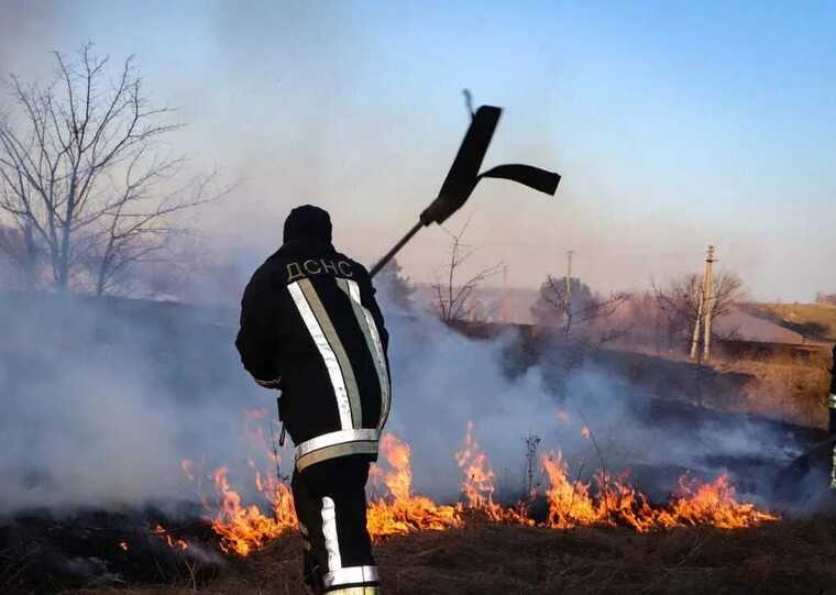 На Київщині сталася масштабна пожежа: гасили сухостій