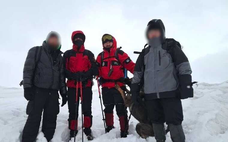 У засніжених Карпатах врятували двох туристів: заблукали через погіршення погоди