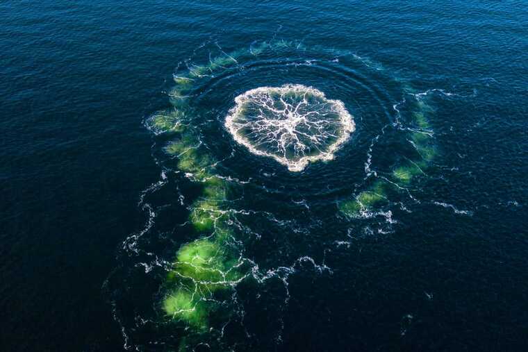 США заранее знали о подготовке подрыва «Северных потоков», – Сикорский