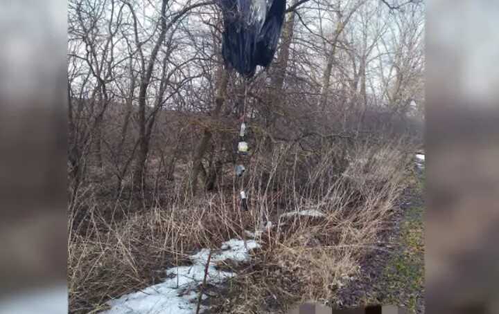 В России сбили "умный" аэростат для бомбардировки городов