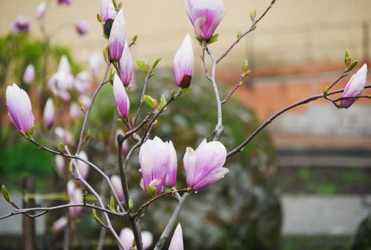 В Украине ожидается значительное потепление в эти выходные