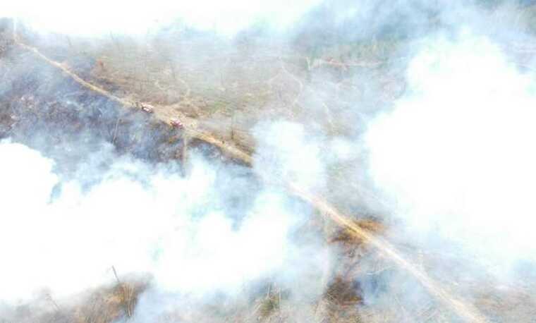 На Закарпатті вирує масштабна лісова пожежа