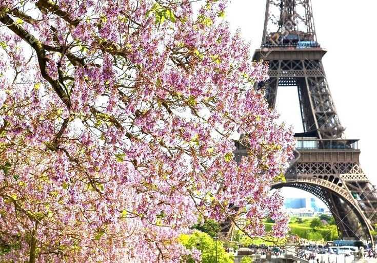 Во Франции фиксируют почти летнюю жару из-за воздуха из Сахары