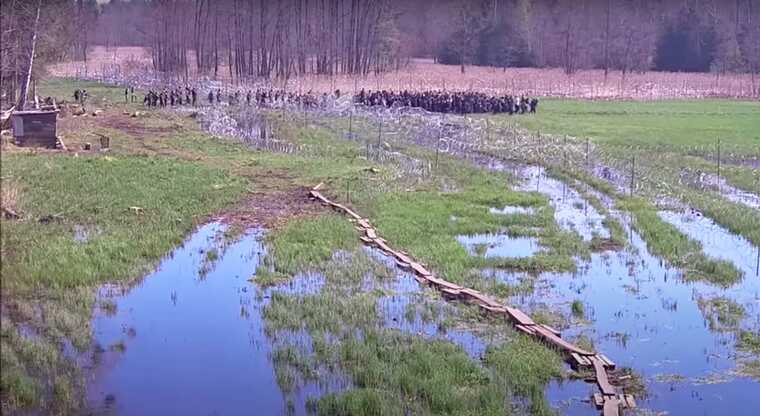Польські прикордонники зірвали прорив понад 220 нелегалів із боку Білорусі