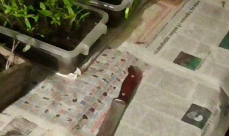 В Житомирской области учитель с ножом напал на подростков: есть погибший